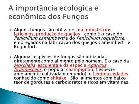 qual a importância ecológica dos fungos